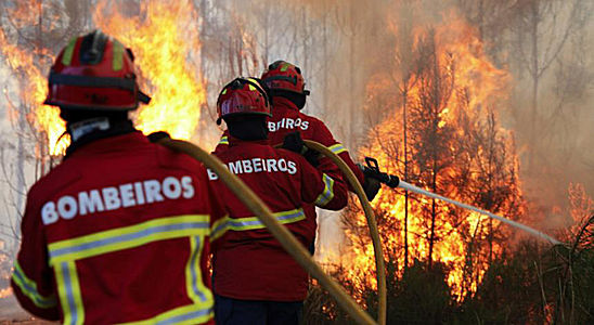 Brigada